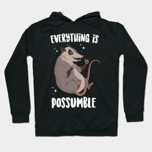 Everything Is Possumble Hoodie